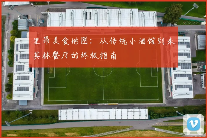 里昂美食地图：从传统小酒馆到米其林餐厅的终极指南