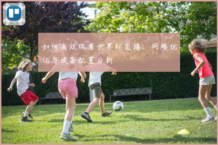 如何高效观看世界杯直播：网络优化与设备配置分析