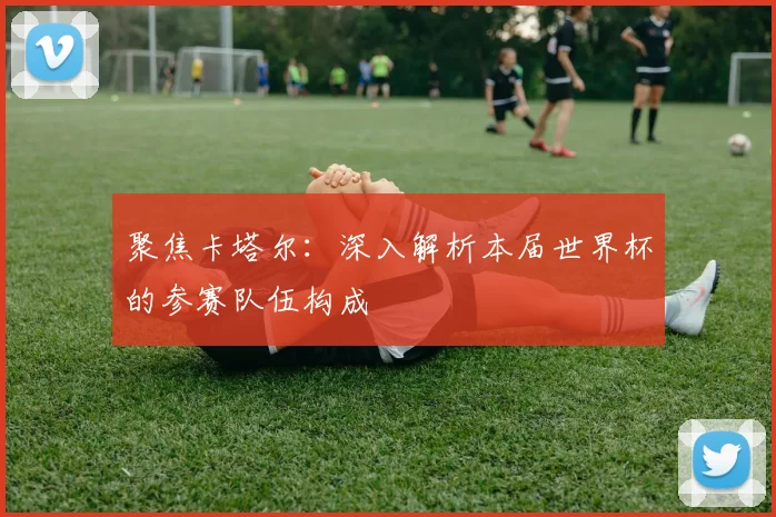 聚焦卡塔尔：深入解析本届世界杯的参赛队伍构成