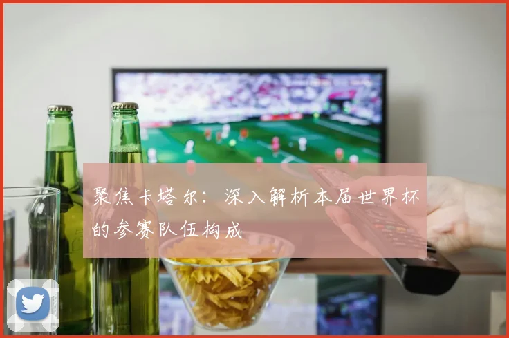 聚焦卡塔尔：深入解析本届世界杯的参赛队伍构成