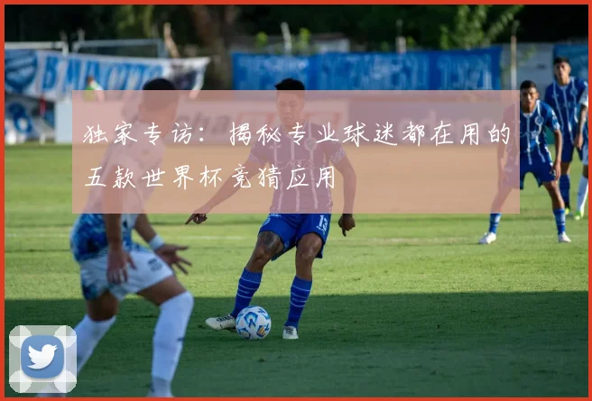 独家专访：揭秘专业球迷都在用的五款世界杯竞猜应用
