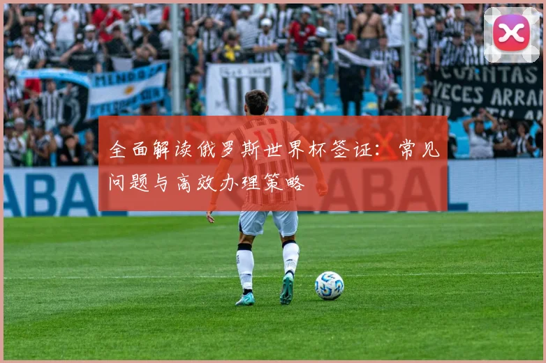 全面解读俄罗斯世界杯签证：常见问题与高效办理策略